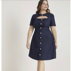 Eloquii Denim Dress (22)